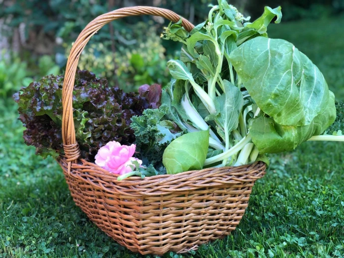 salade composée fraîche – cuisine maison nivelles